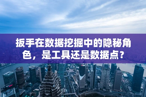 扳手在数据挖掘中的隐秘角色，是工具还是数据点？