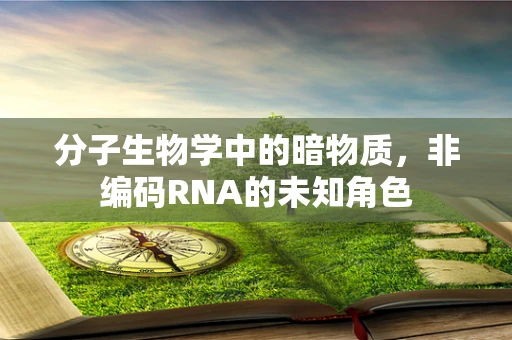 分子生物学中的暗物质，非编码RNA的未知角色