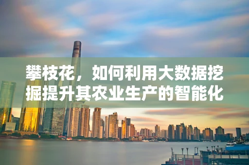 攀枝花，如何利用大数据挖掘提升其农业生产的智能化水平？