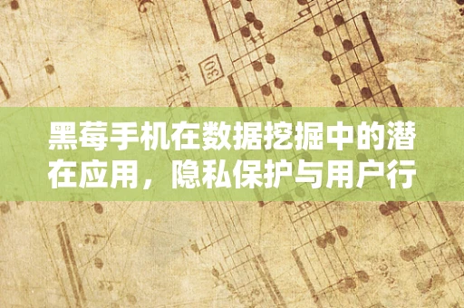 黑莓手机在数据挖掘中的潜在应用，隐私保护与用户行为分析的双重挑战