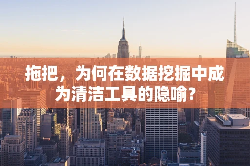 拖把，为何在数据挖掘中成为清洁工具的隐喻？