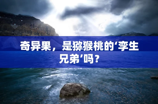 奇异果，是猕猴桃的‘孪生兄弟’吗？