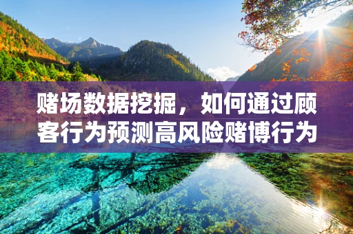 赌场数据挖掘，如何通过顾客行为预测高风险赌博行为？