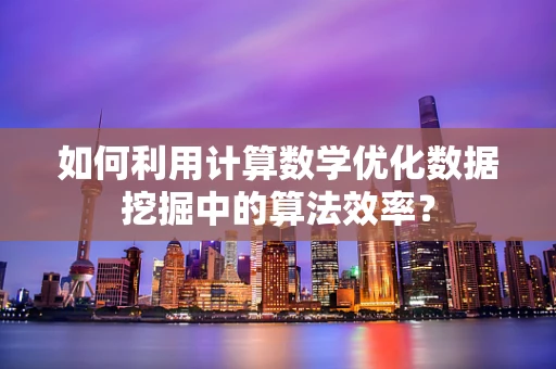 如何利用计算数学优化数据挖掘中的算法效率？