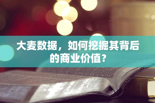 大麦数据，如何挖掘其背后的商业价值？