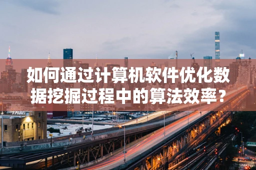 如何通过计算机软件优化数据挖掘过程中的算法效率？