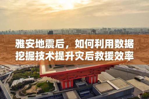 雅安地震后，如何利用数据挖掘技术提升灾后救援效率？