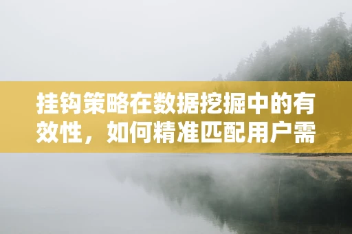 挂钩策略在数据挖掘中的有效性，如何精准匹配用户需求？