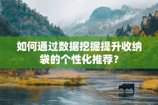 如何通过数据挖掘提升收纳袋的个性化推荐？