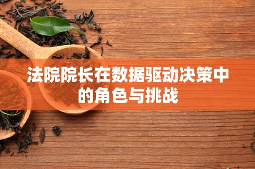 法院院长在数据驱动决策中的角色与挑战