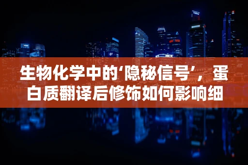 生物化学中的‘隐秘信号’，蛋白质翻译后修饰如何影响细胞功能？