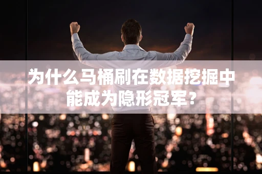为什么马桶刷在数据挖掘中能成为隐形冠军？