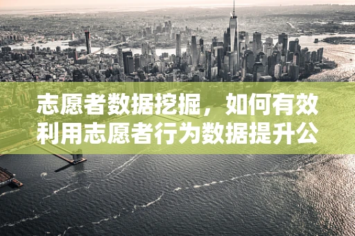 志愿者数据挖掘，如何有效利用志愿者行为数据提升公益效率？