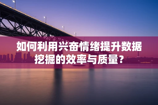 如何利用兴奋情绪提升数据挖掘的效率与质量？