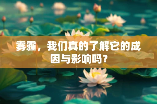 雾霾，我们真的了解它的成因与影响吗？