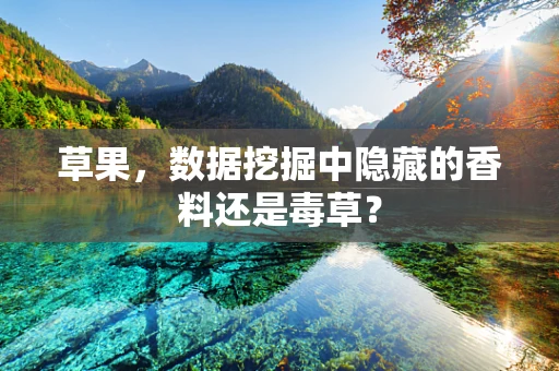 草果，数据挖掘中隐藏的香料还是毒草？