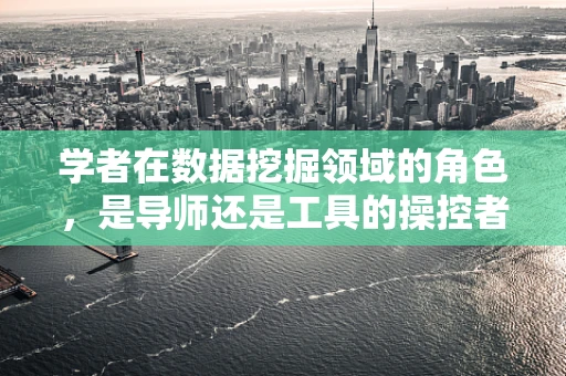 学者在数据挖掘领域的角色，是导师还是工具的操控者？