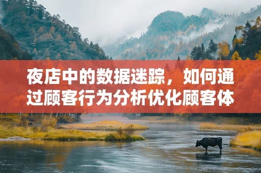 夜店中的数据迷踪，如何通过顾客行为分析优化顾客体验？