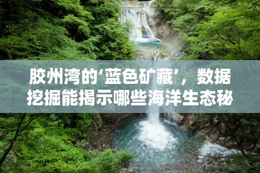 胶州湾的‘蓝色矿藏’，数据挖掘能揭示哪些海洋生态秘密？