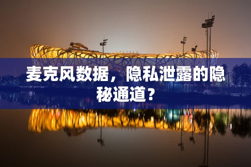 麦克风数据，隐私泄露的隐秘通道？