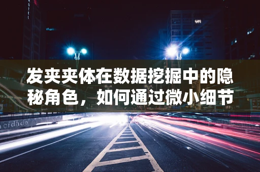 发夹夹体在数据挖掘中的隐秘角色，如何通过微小细节揭示用户偏好？