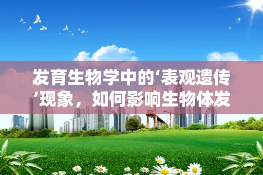发育生物学中的‘表观遗传’现象，如何影响生物体发育的轨迹？