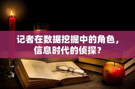 记者在数据挖掘中的角色，信息时代的侦探？