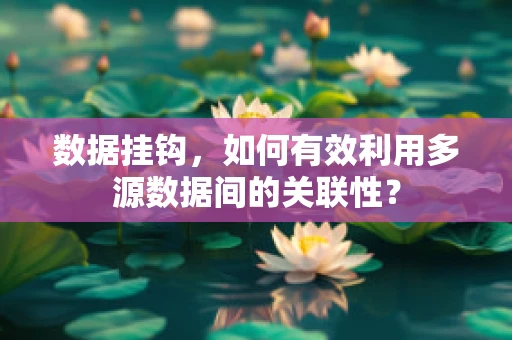 数据挂钩，如何有效利用多源数据间的关联性？