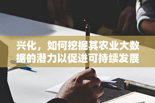 兴化，如何挖掘其农业大数据的潜力以促进可持续发展？