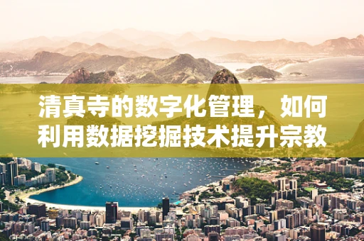 清真寺的数字化管理，如何利用数据挖掘技术提升宗教场所的运营效率？