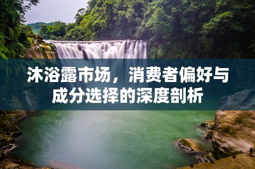 沐浴露市场，消费者偏好与成分选择的深度剖析