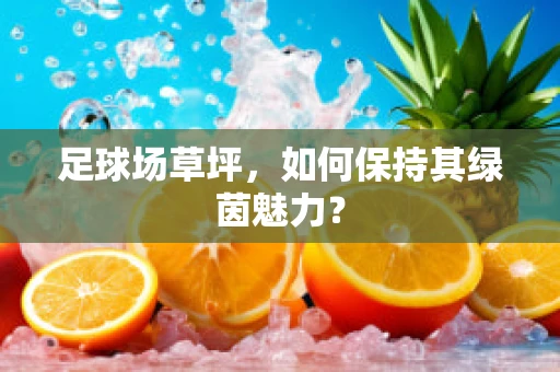 足球场草坪，如何保持其绿茵魅力？