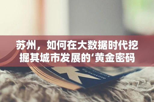 苏州，如何在大数据时代挖掘其城市发展的‘黄金密码’？