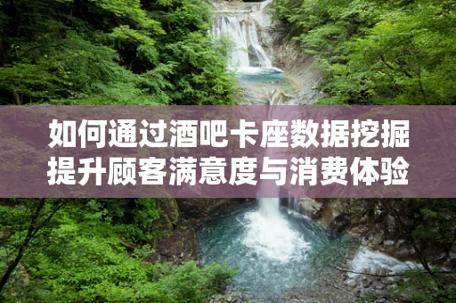 如何通过酒吧卡座数据挖掘提升顾客满意度与消费体验？