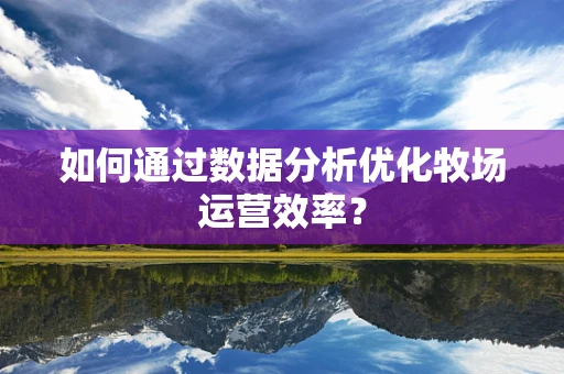 如何通过数据分析优化牧场运营效率？