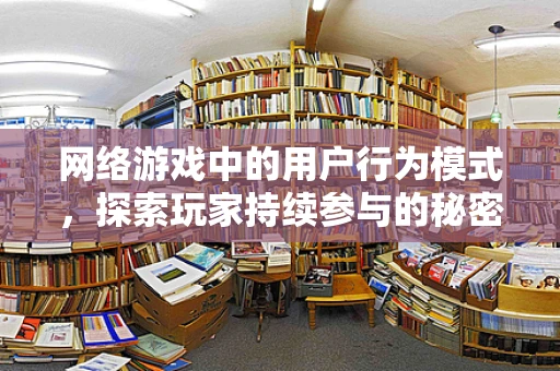 网络游戏中的用户行为模式，探索玩家持续参与的秘密？