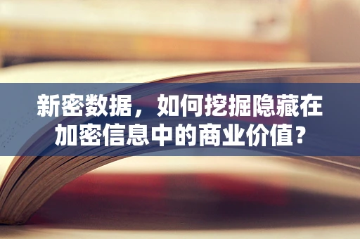 新密数据，如何挖掘隐藏在加密信息中的商业价值？