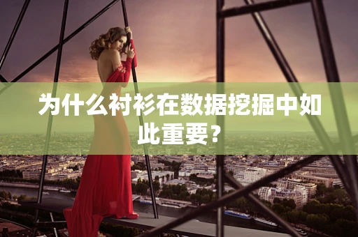 为什么衬衫在数据挖掘中如此重要？