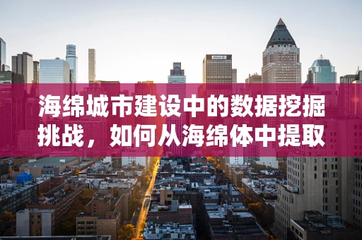 海绵城市建设中的数据挖掘挑战，如何从海绵体中提取城市生态智慧？