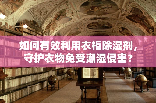 如何有效利用衣柜除湿剂，守护衣物免受潮湿侵害？