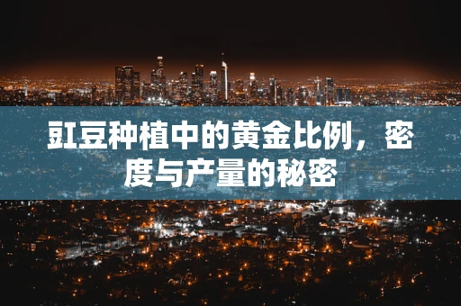 豇豆种植中的黄金比例，密度与产量的秘密