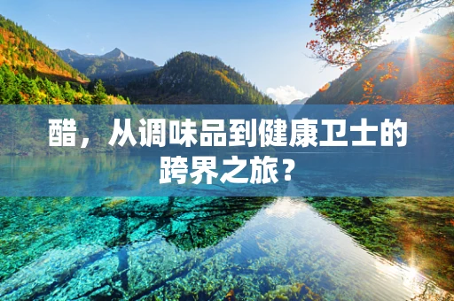 醋，从调味品到健康卫士的跨界之旅？