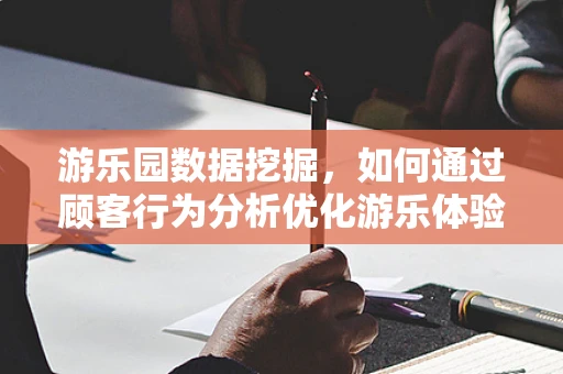 游乐园数据挖掘，如何通过顾客行为分析优化游乐体验？
