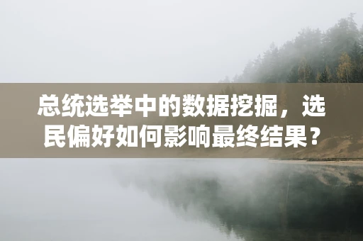总统选举中的数据挖掘，选民偏好如何影响最终结果？