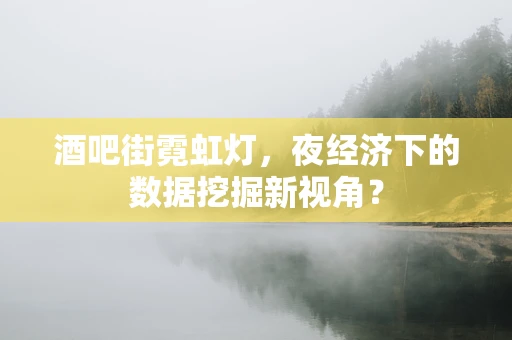 酒吧街霓虹灯，夜经济下的数据挖掘新视角？