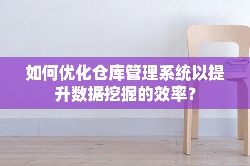 如何优化仓库管理系统以提升数据挖掘的效率？