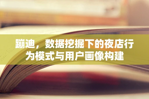 蹦迪，数据挖掘下的夜店行为模式与用户画像构建