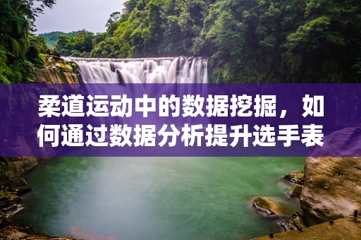 柔道运动中的数据挖掘，如何通过数据分析提升选手表现？
