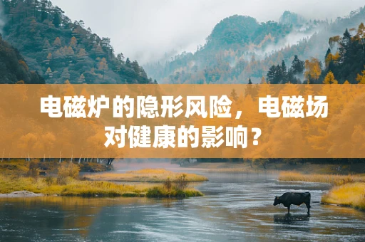 电磁炉的隐形风险，电磁场对健康的影响？