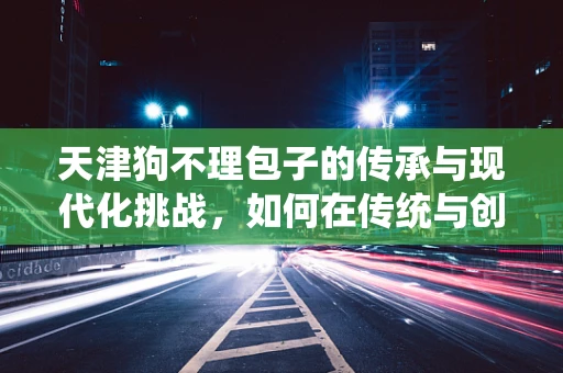 天津狗不理包子的传承与现代化挑战，如何在传统与创新间找到平衡？